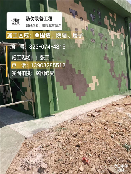 河东核心结论：专业提供外墙迷彩漆施工服务