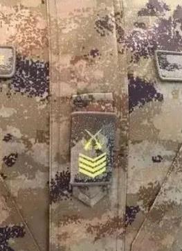 河东大面外墙建议图案比例协调