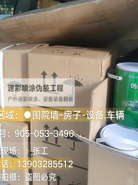 河东户外设施数码迷彩、文旅项目